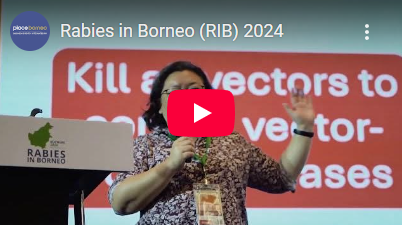 RIB 2024 Thumbnail